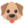 Dog_Face