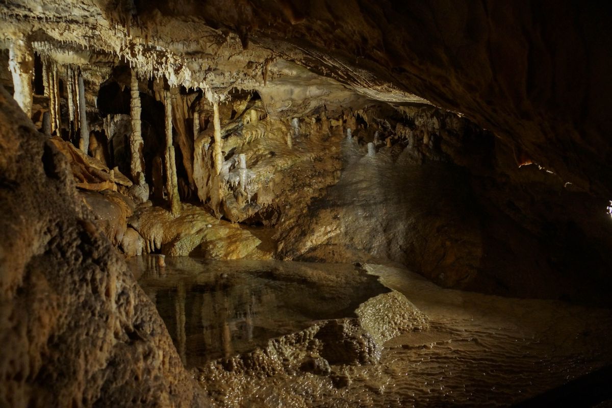 Grottes de Han