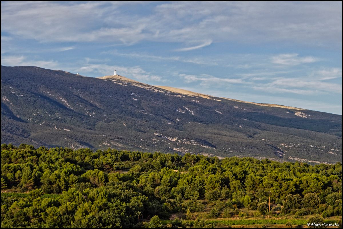 Ventoux