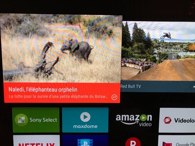 arte HbbTV Vorschautext nur in französischer Sprache