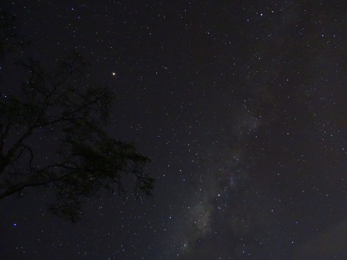 via lactea