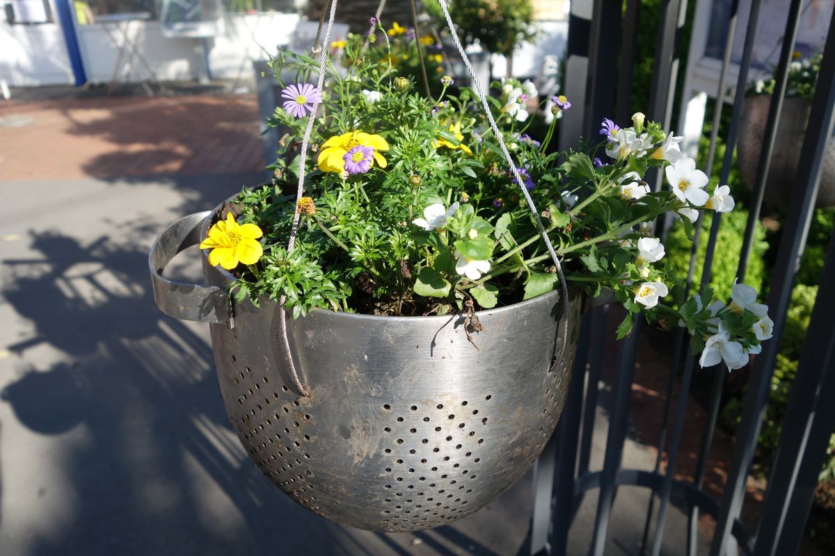 Sommerblumen in stählernem Siebtopf