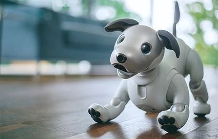 sony-aibo-titelbild.jpg