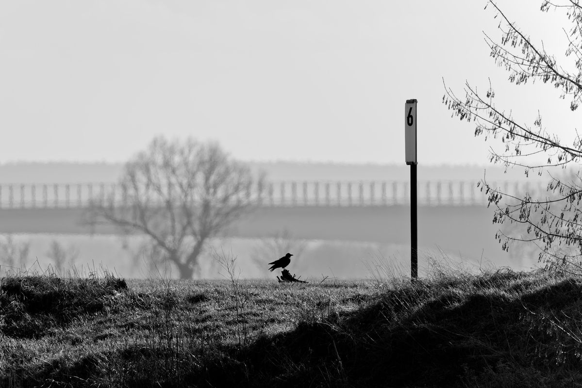 Am Mittellauf der Elbe