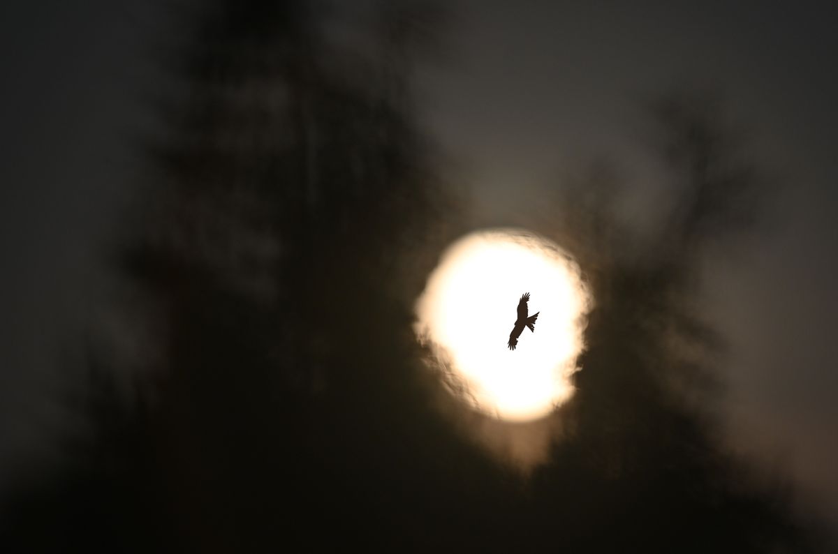 am Abend