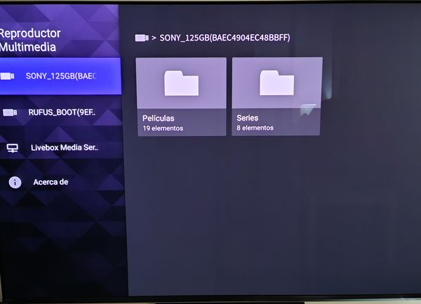 Reproductor Bravia II.JPG