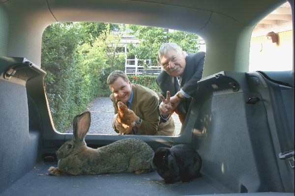 Man beachte die elegante Haltung von Hase und Huhn. Als Statisten aber nur wenig geeignet.